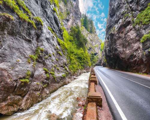 Cazare Cheile Bicazului