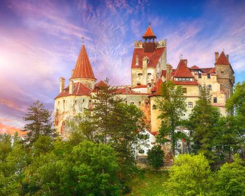 Cazare Culoarul Rucăr-Bran