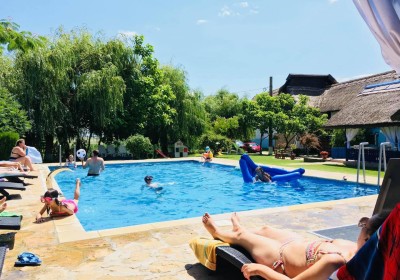 Cazare Pensiunea Castalia