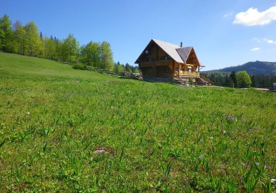 Szállás Pensiunea Rustic