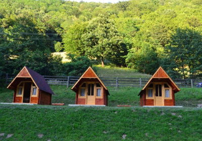 Unterkunft Camping Costești