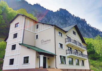 Cazare Pensiunea Dimitrios & SPA