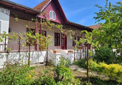 Unterkunft Vila Tulcea