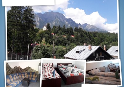 Cazare Căsuța Pădurarului