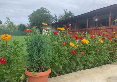 Accommodation Limanu