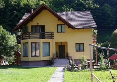 Cazare Pensiunea La Steaguri