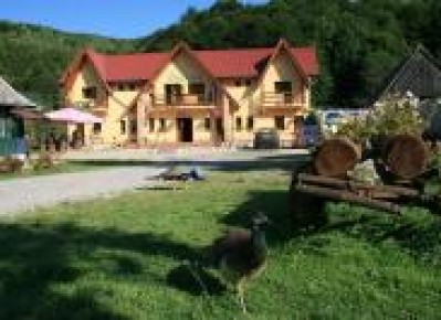Cazare Pensiunea Green Mountain Resort