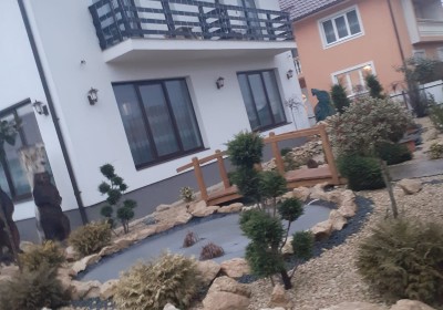 Hébergement Pensiunea Zbona