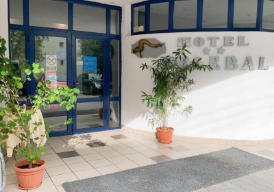 Cazare Hotel Decebal