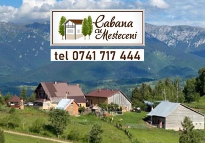 Cazare Cabana cu Mesteceni