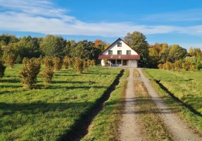 Unterkunft Cabana Oana