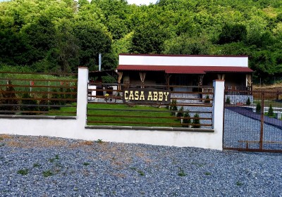 Szállás Casa de oaspeti ABBY cu piscina exterioara si jacuzzi