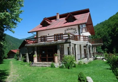 Cazare Salasu De Jos