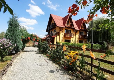 Accommodation Vila Sorina