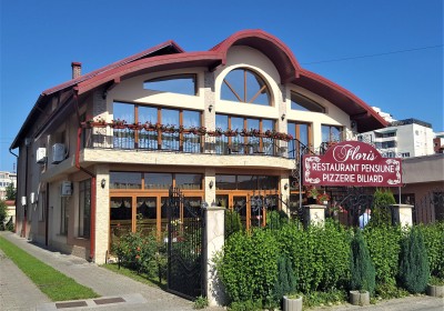 Accommodation Pensiunea Floris