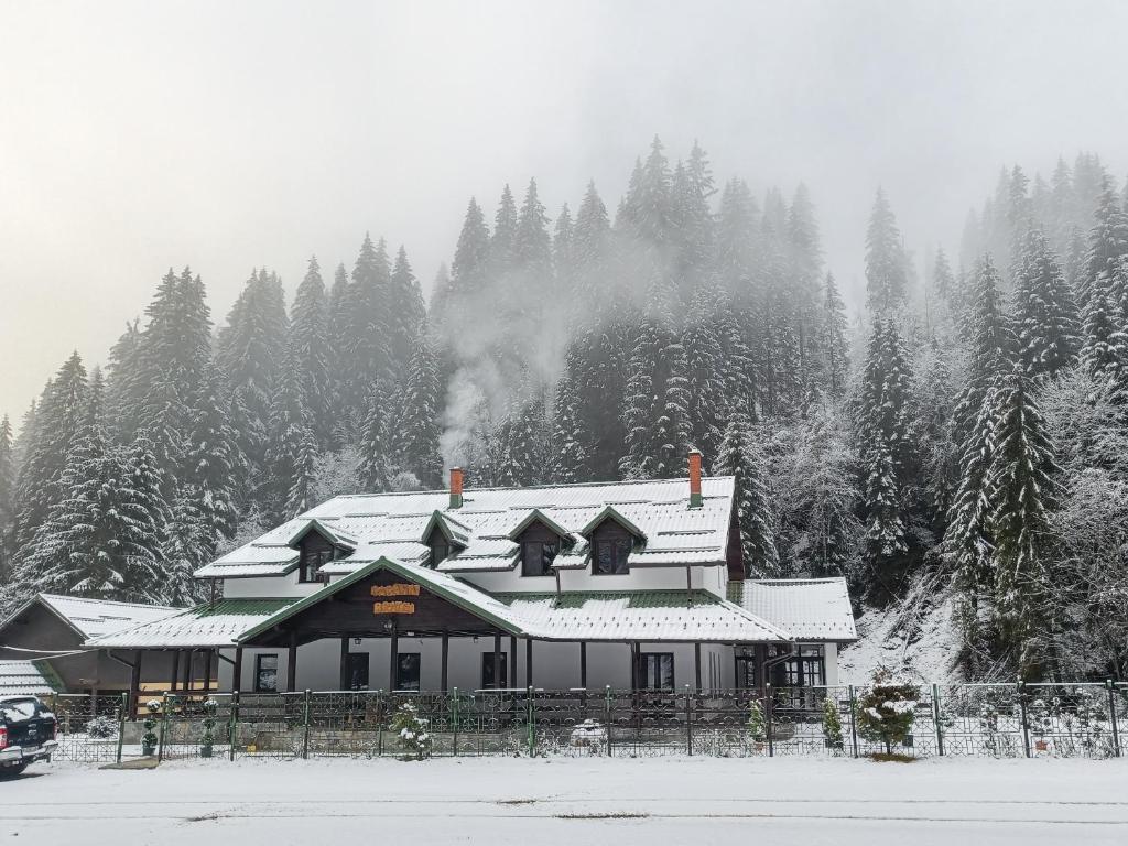 Cazare Cabana Brătei