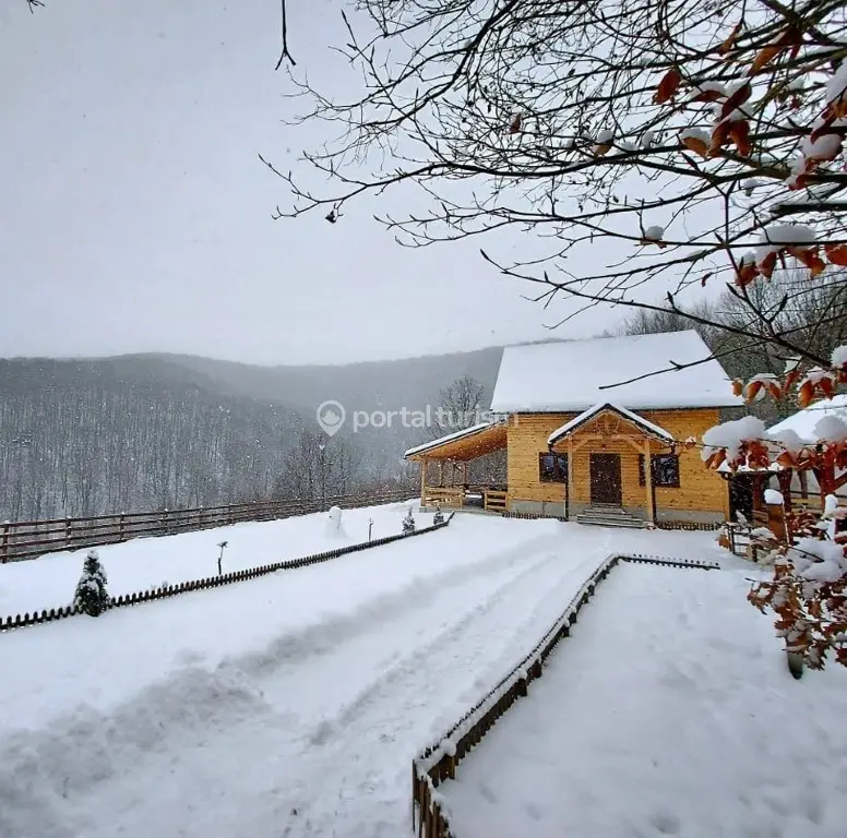 Cabana Căsuța Din Pădure