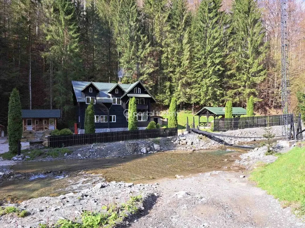 Cabana dintre Văi from Runcu