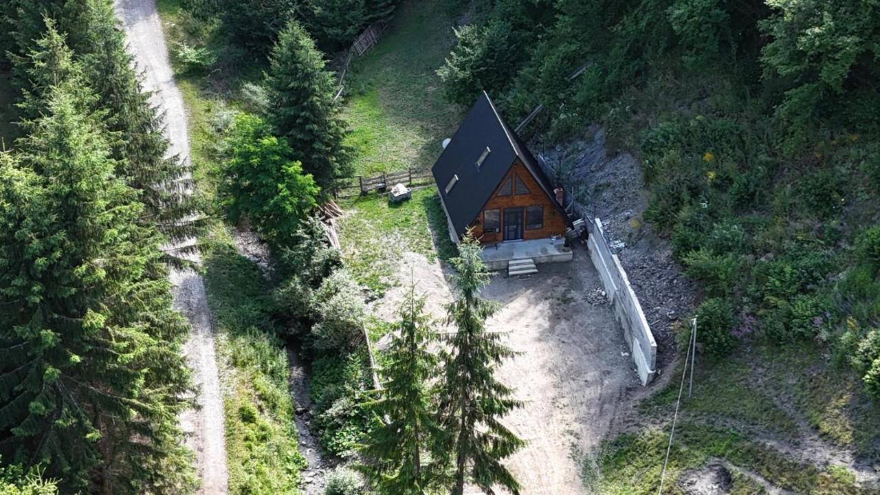 Cazare Cabana Doi Brazi A-Frame