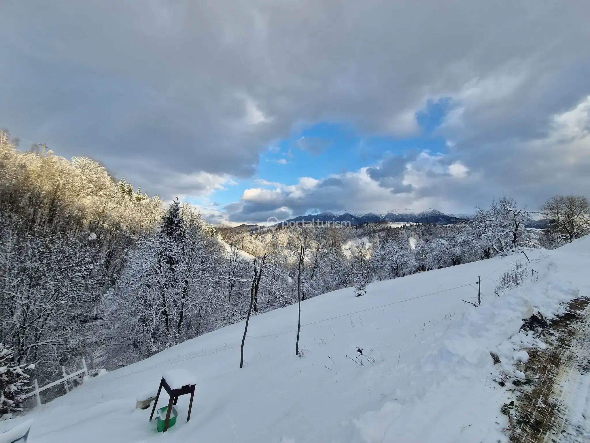 Chalet Glasul Pădurii