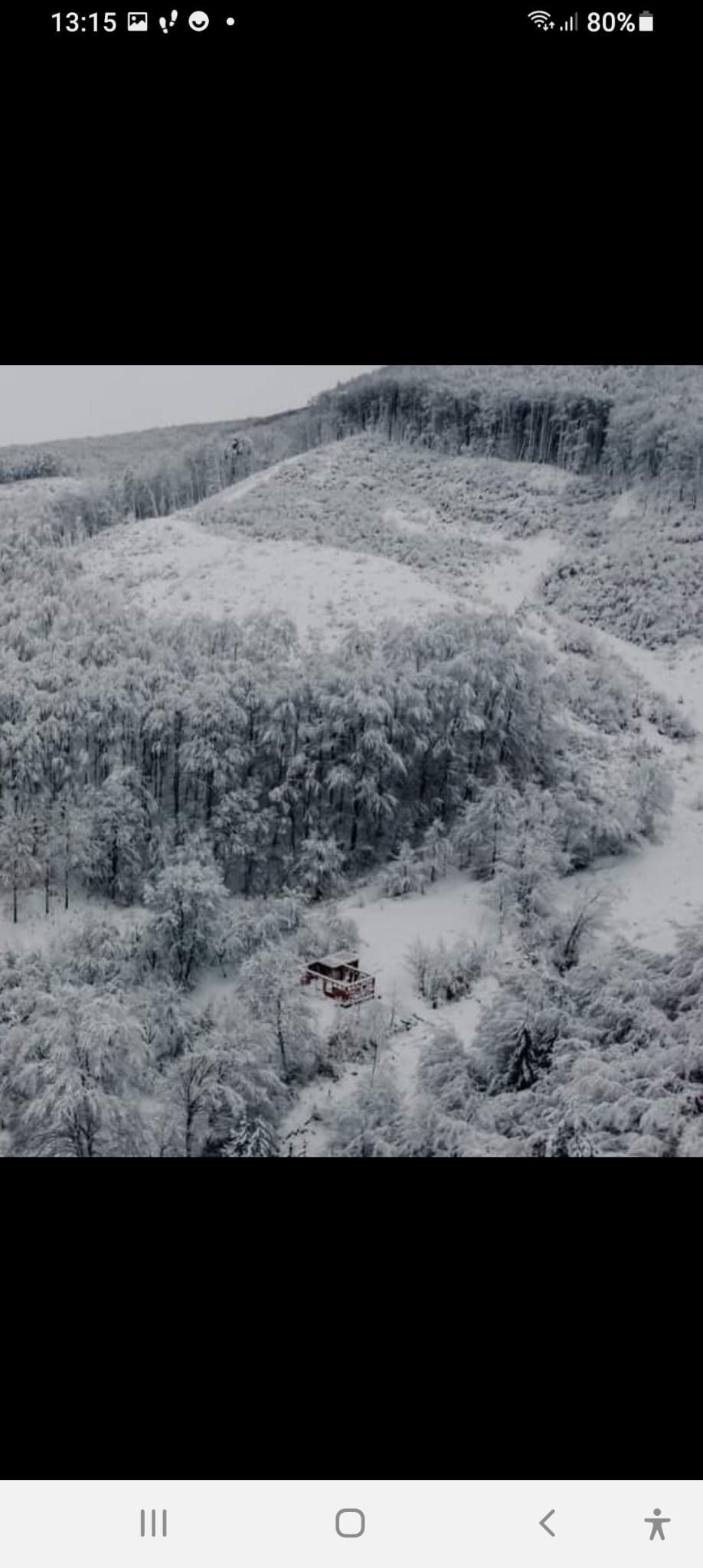 Cazare Cabana la Ursi
