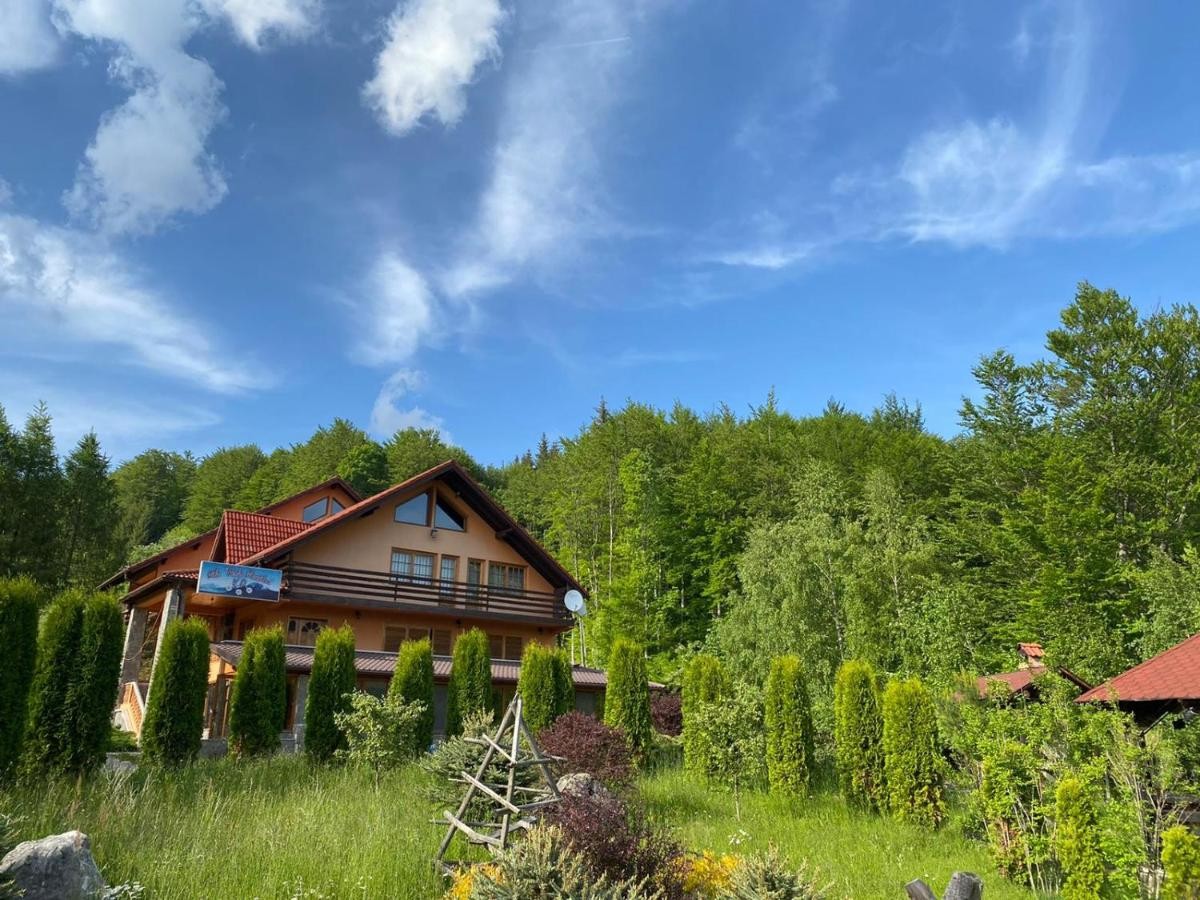 Accommodation Cabana Perla Munților