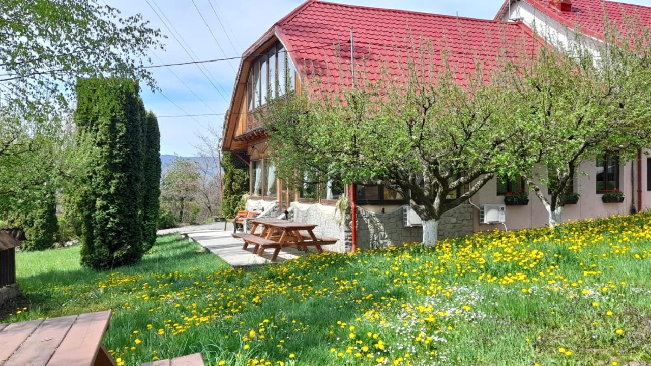 Alloggio Cabana Scăricica