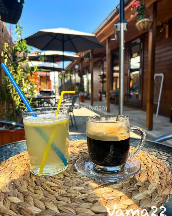 Camere de închiriat Vama 22