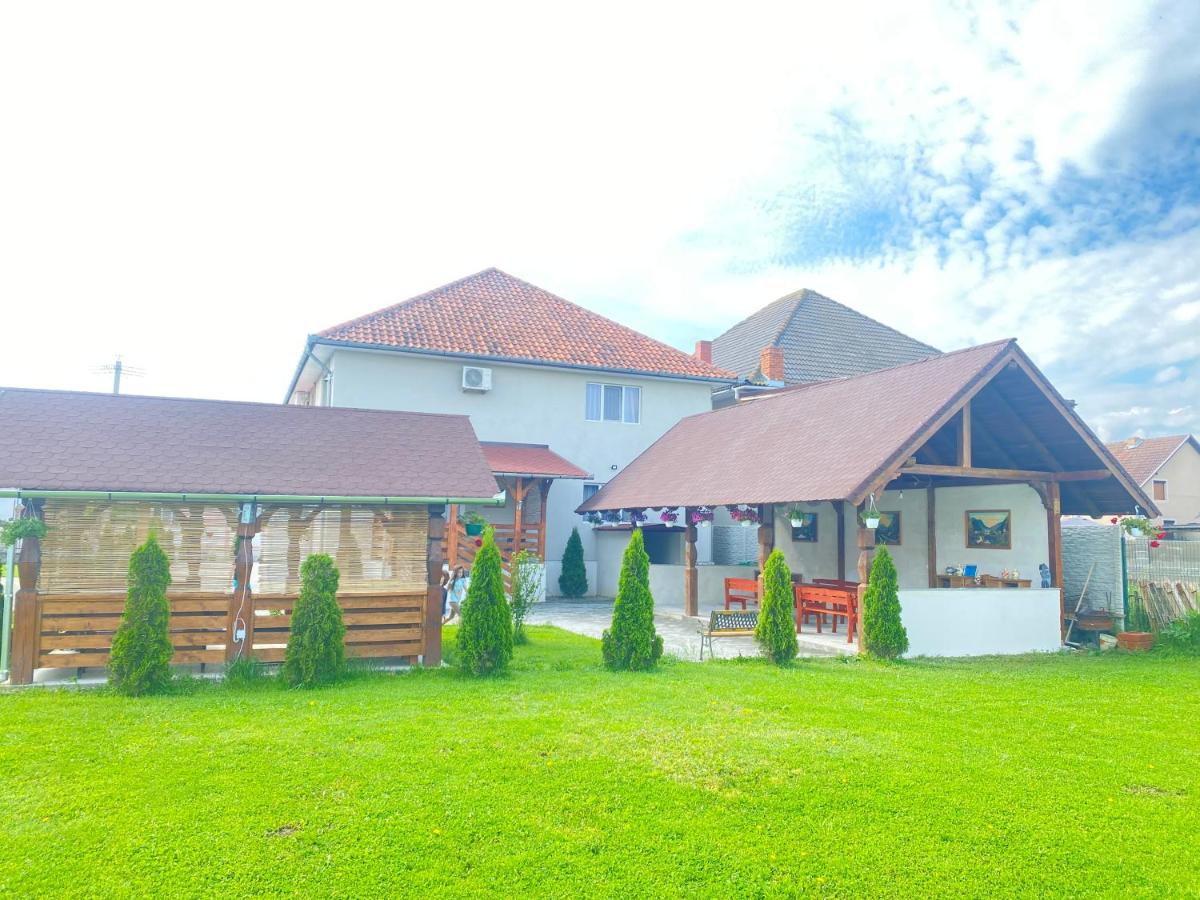 Cazare Camere de închiriat Absolut Residence