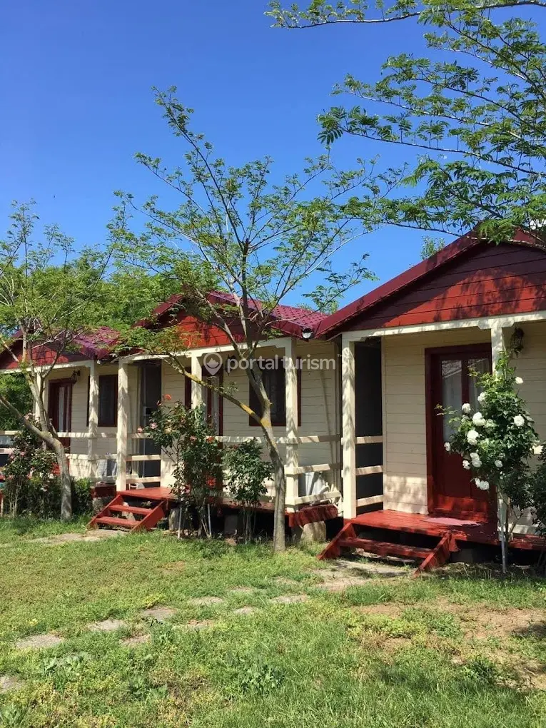 Camping Daviami Camp