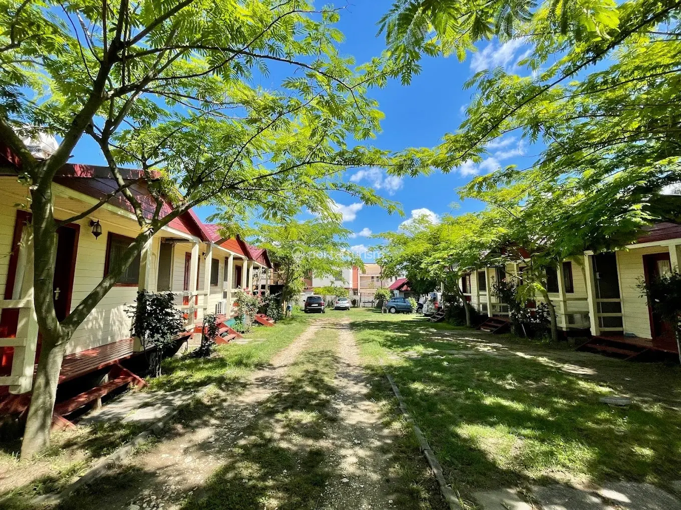 Camping Daviami Camp