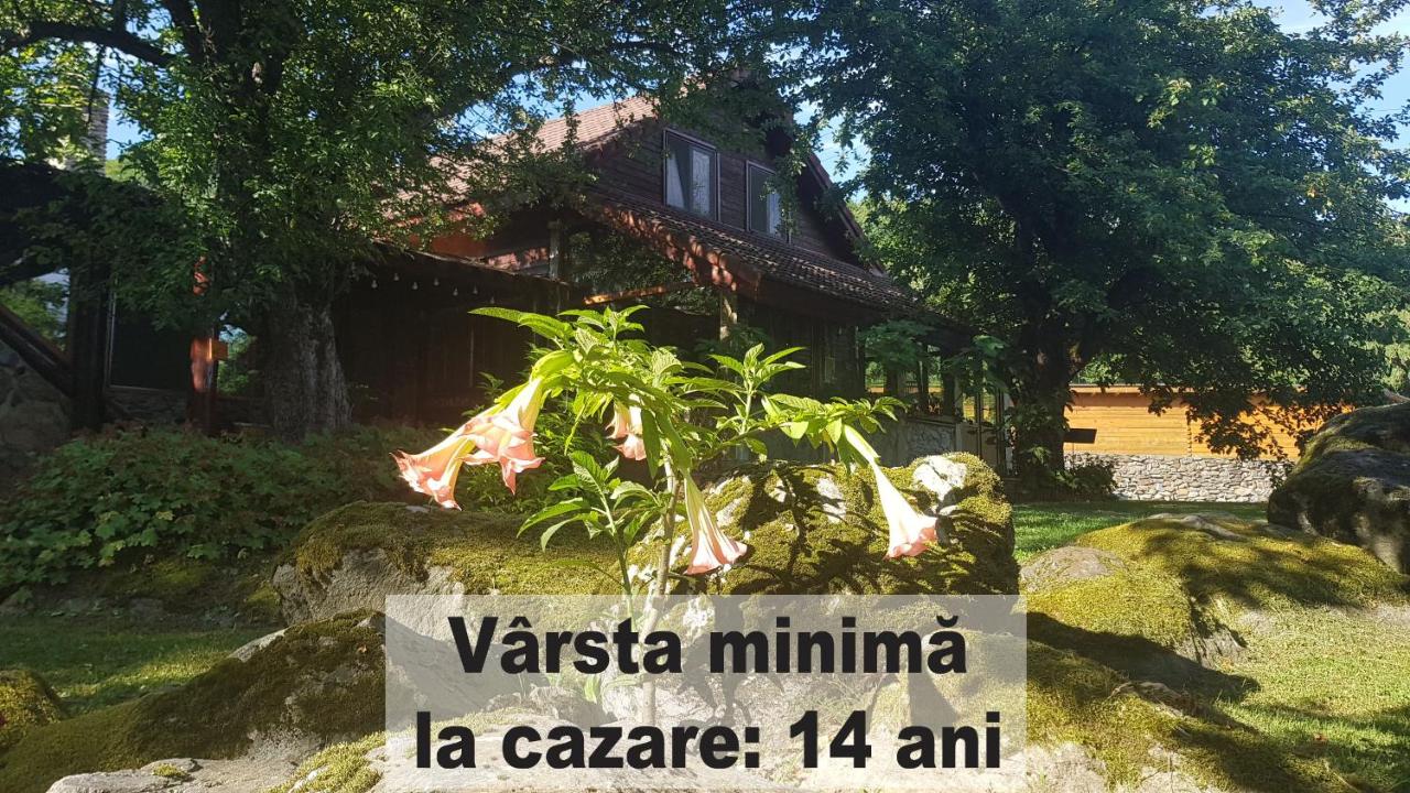 Cazare Casa Bunicului