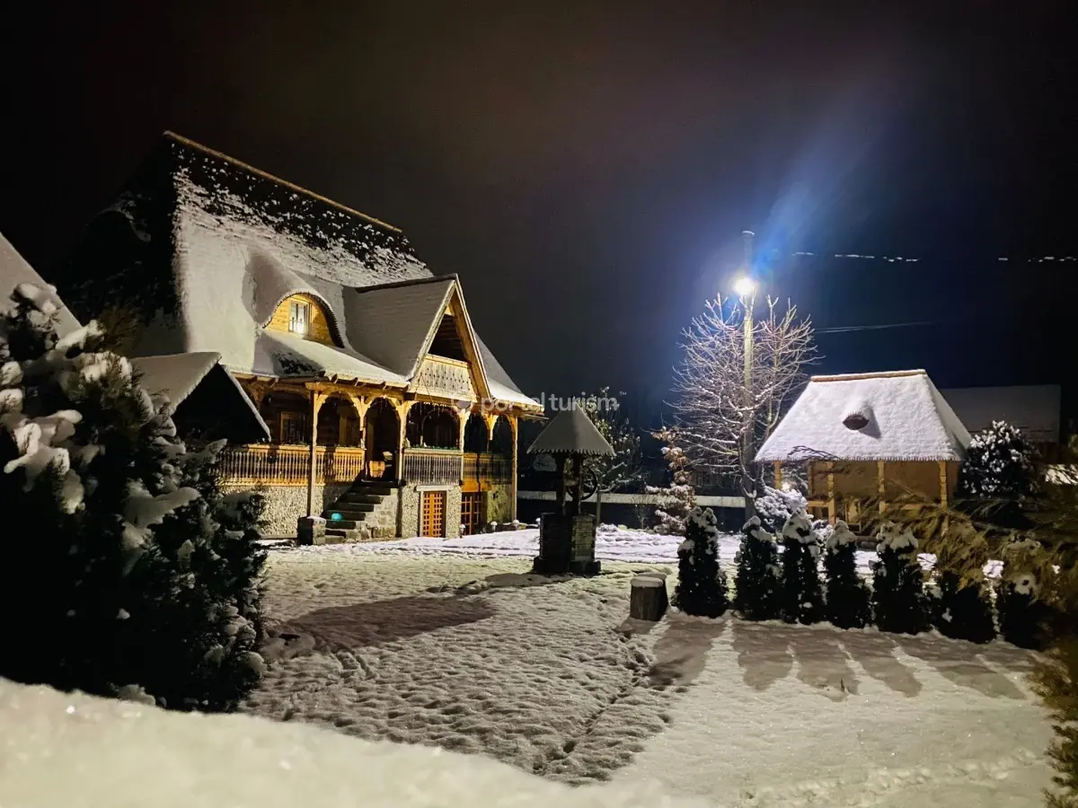 Casa Chira Vișeu de Sus