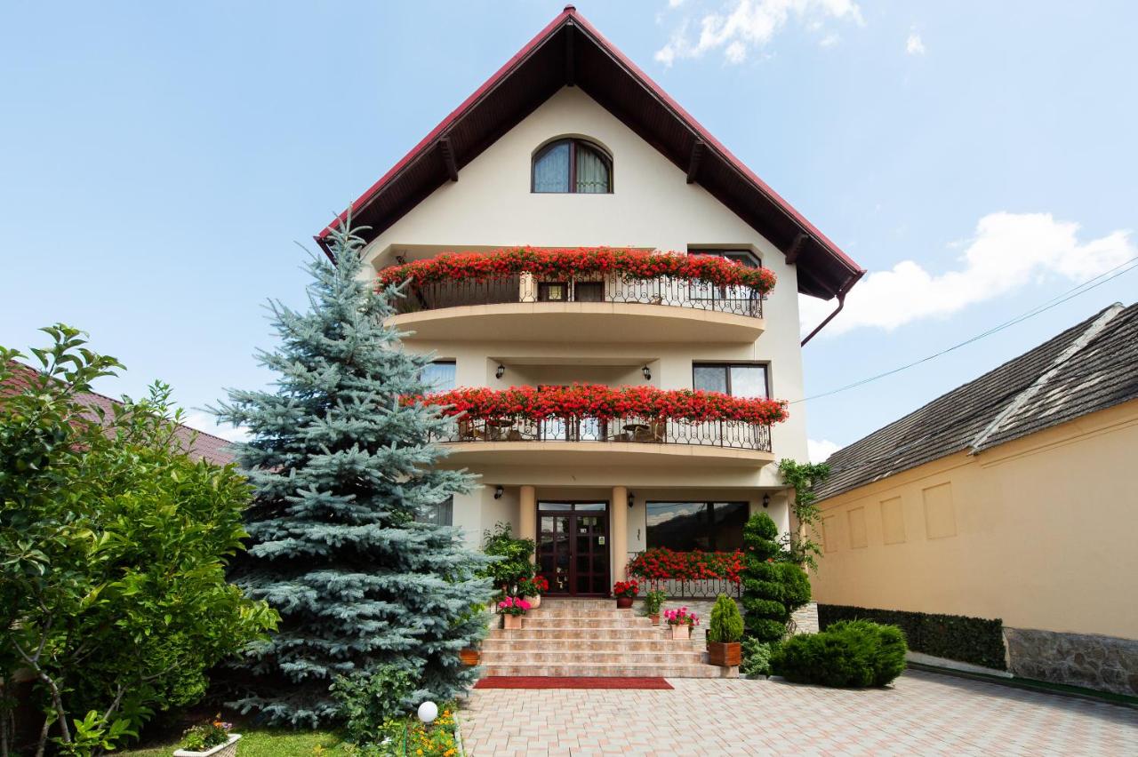 Cazare Casa cu Flori