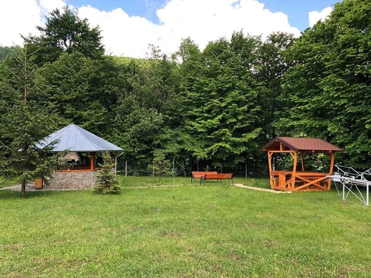 Accommodation Valea Doftanei