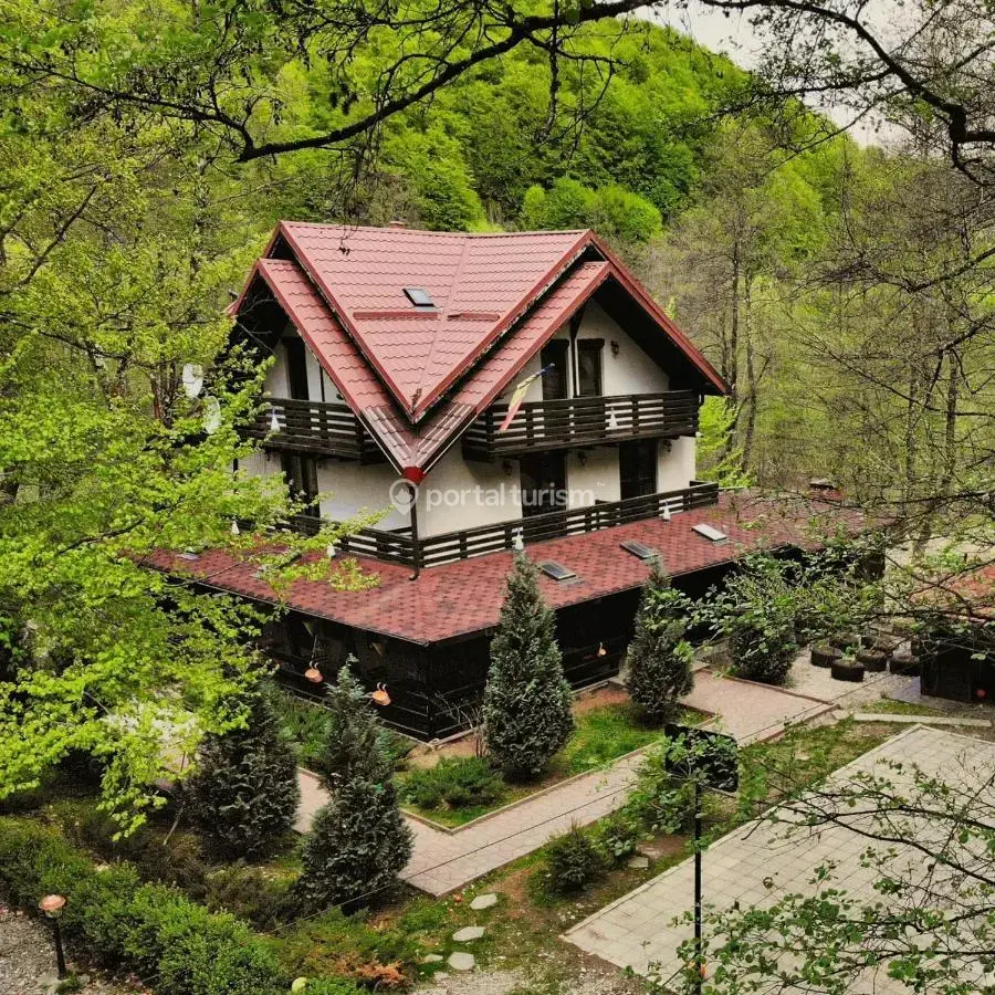 Căsuța din Pădure