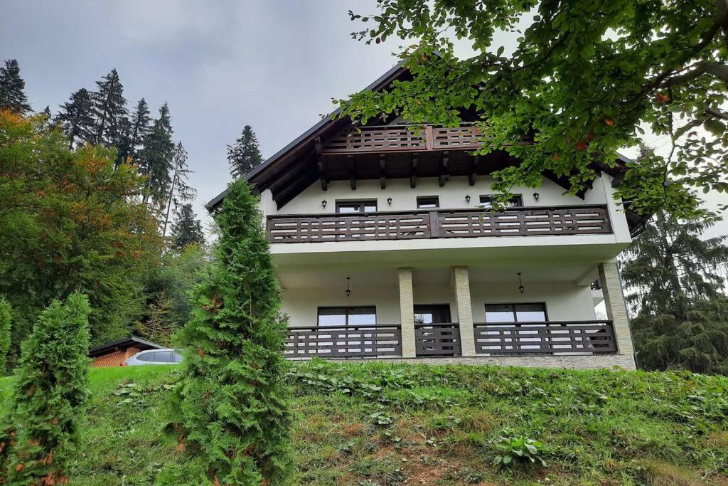 Cazare Casa de vacanță Mălina