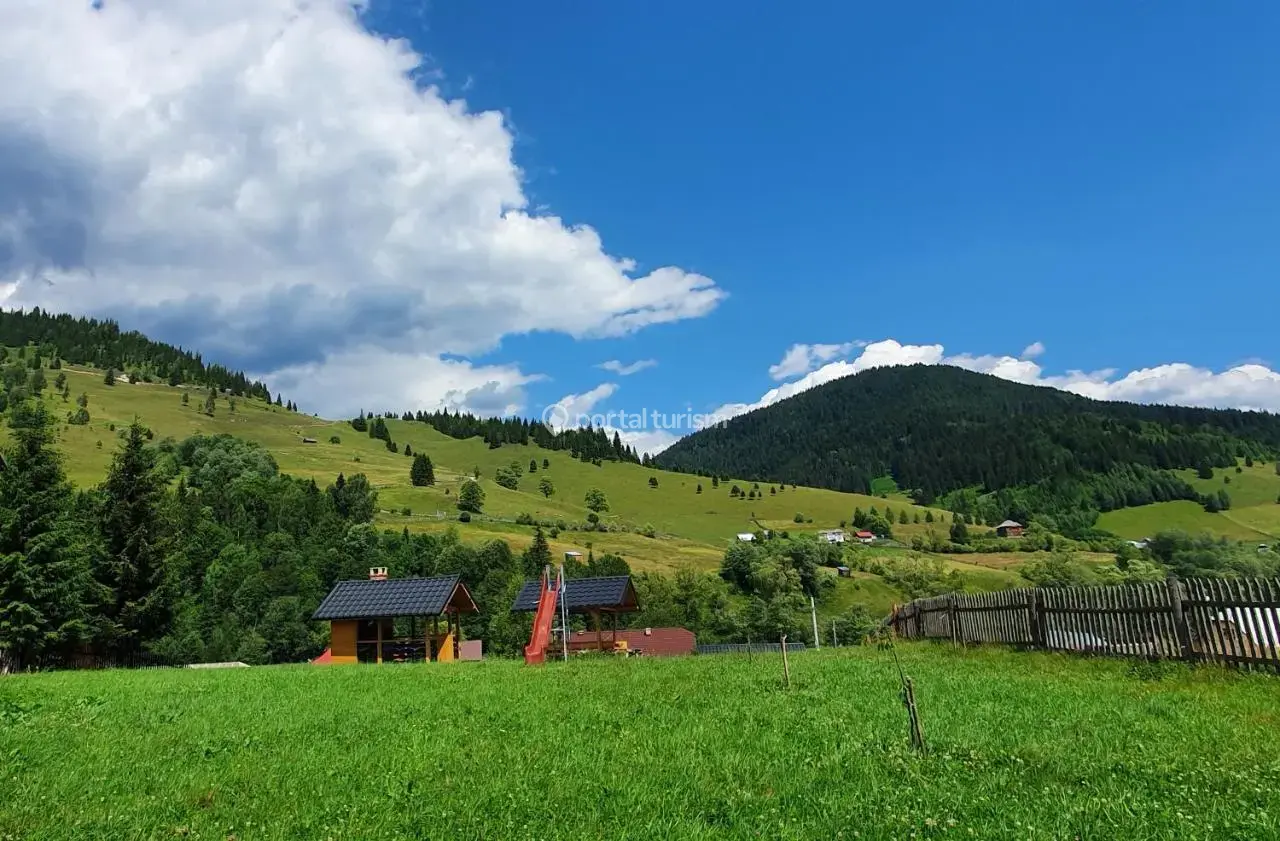 Casa de vacanță Viorica