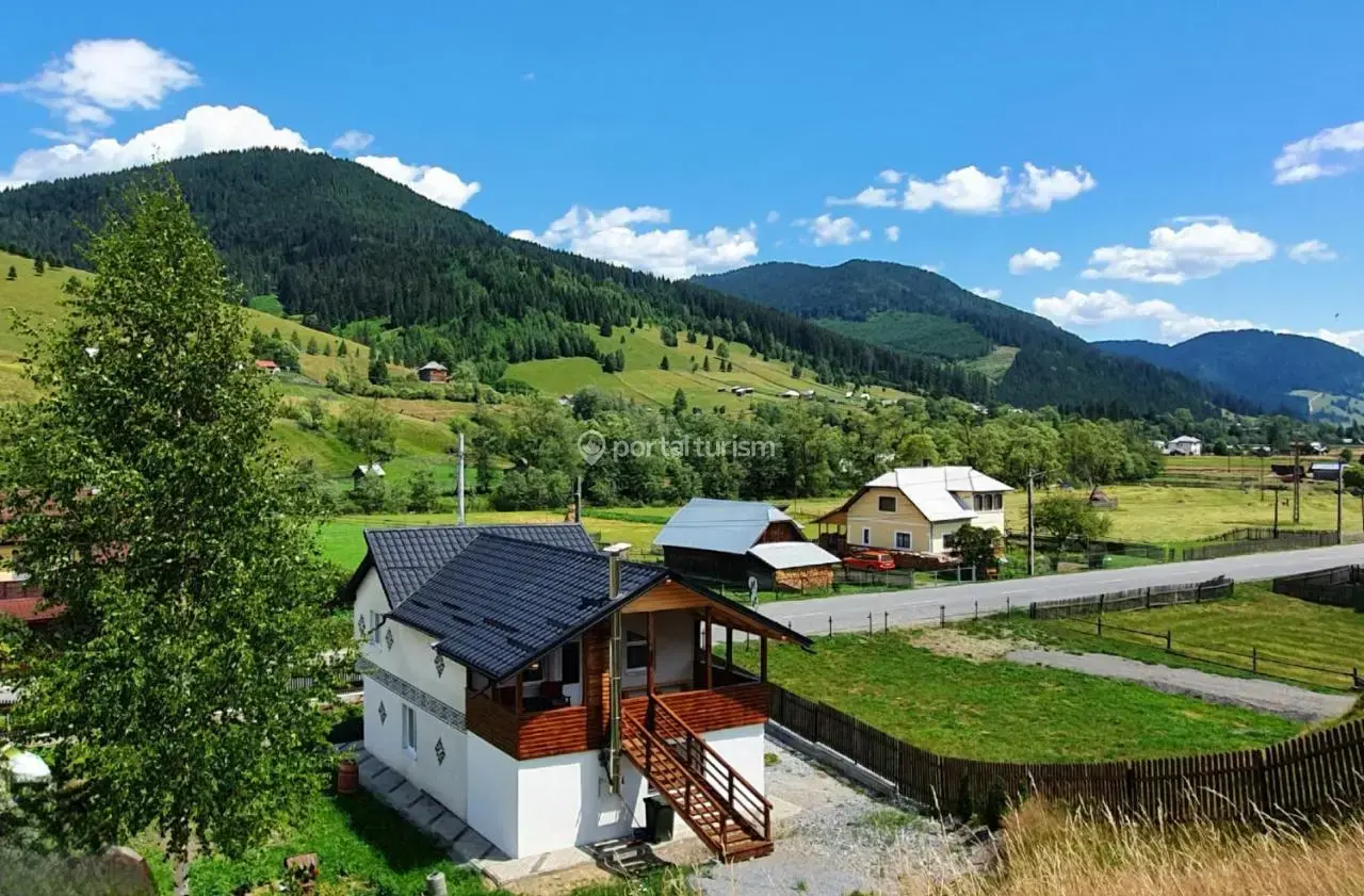 Casa de vacanță Viorica