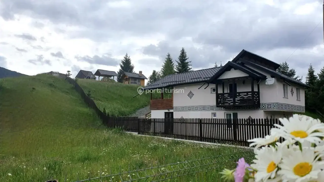 Casa de vacanță Viorica