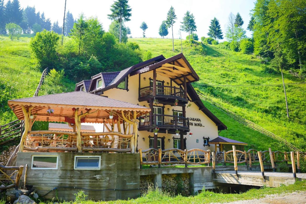 Cazare Casa Non Nobis