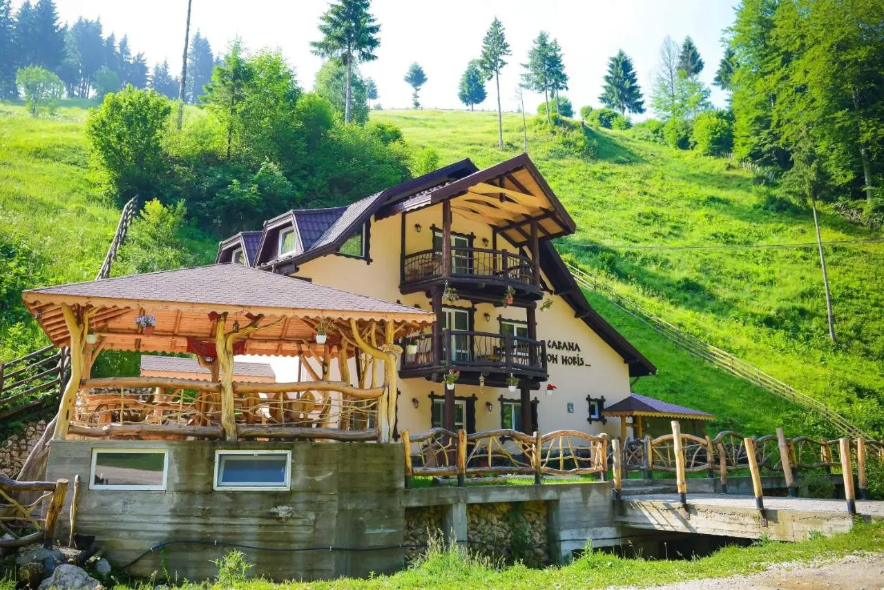 Cazare Cheile Dambovicioarei