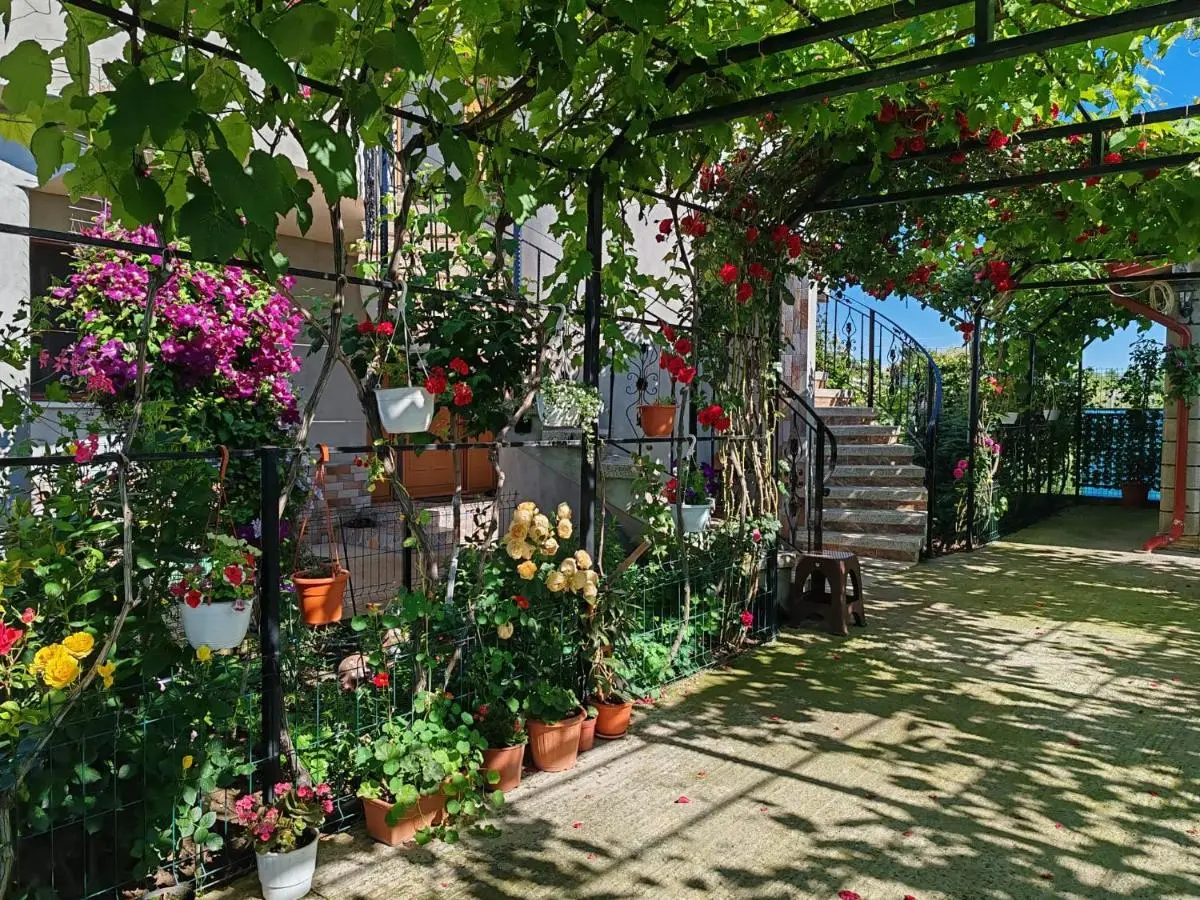 Accommodation Limanu