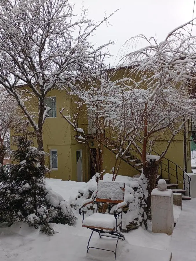 Accommodation Busteni