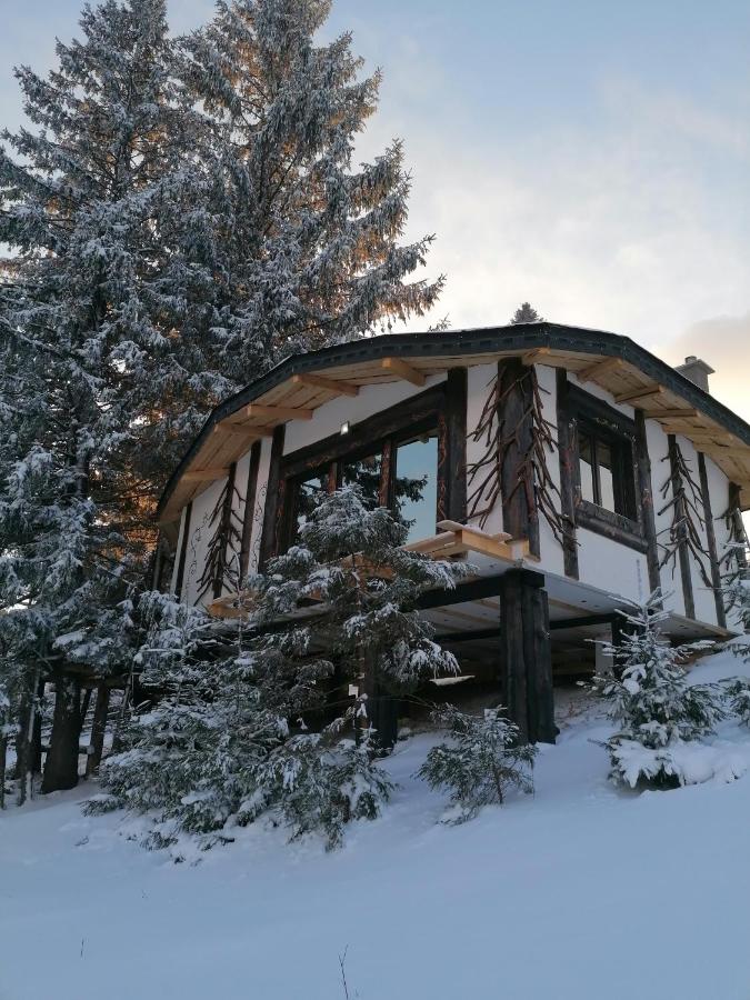 Hébergement Căsuța Con