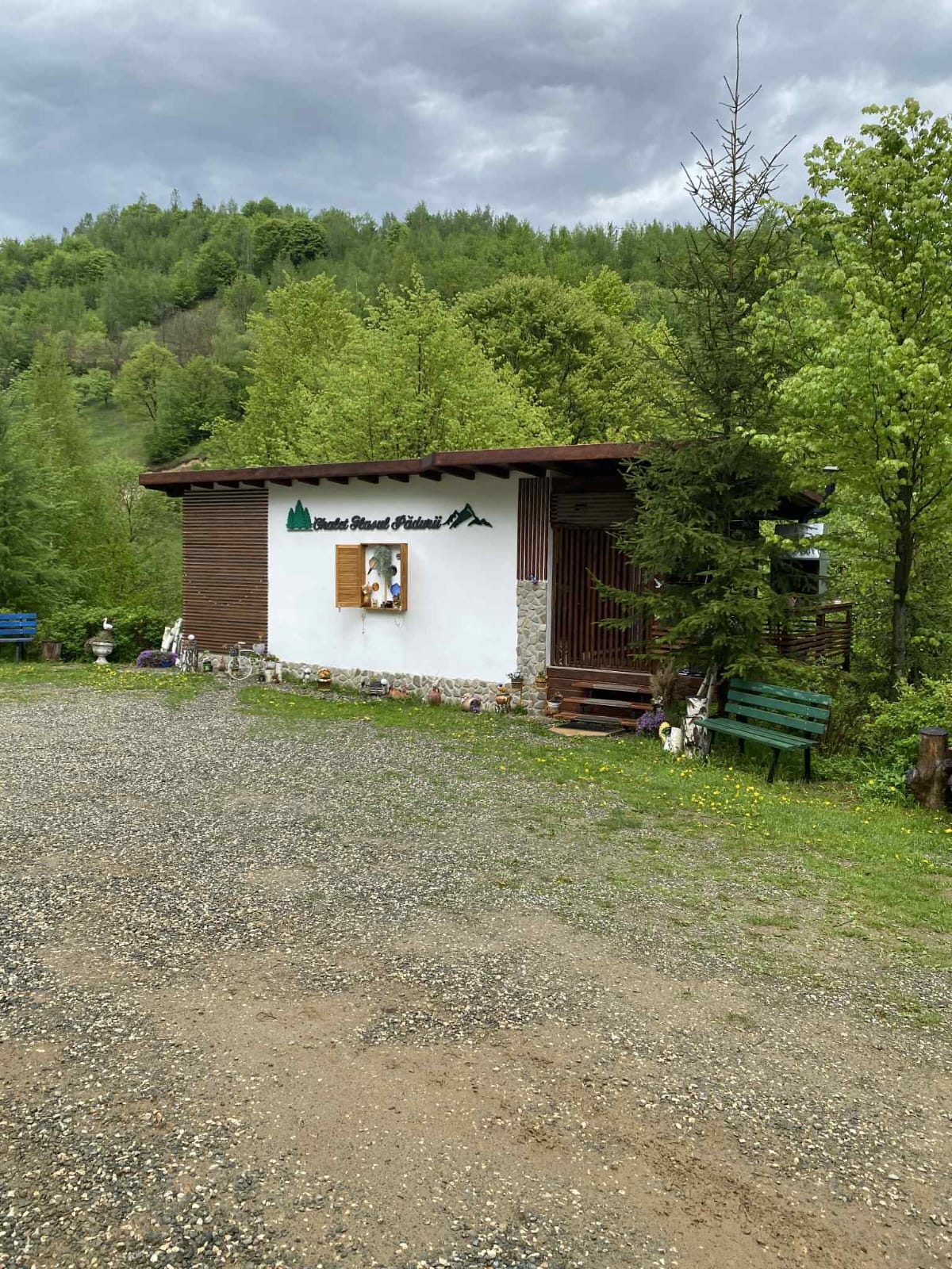 Accommodation Chalet Glasul Pădurii