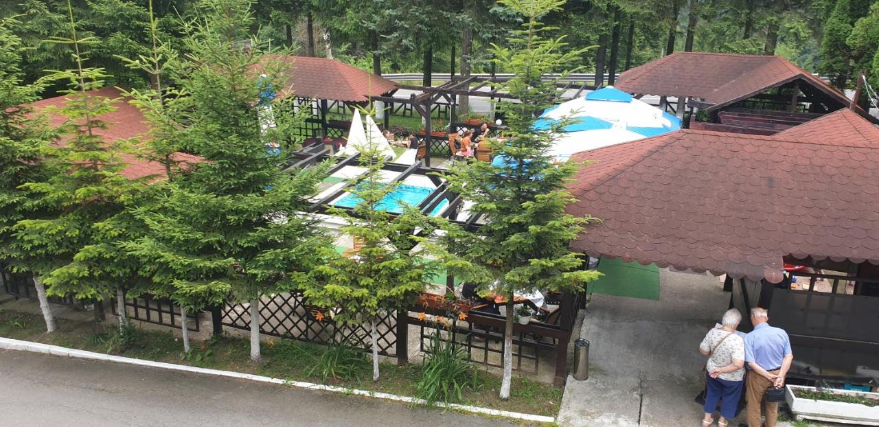 Cazare Hotel Bucegi Porțile Regatului