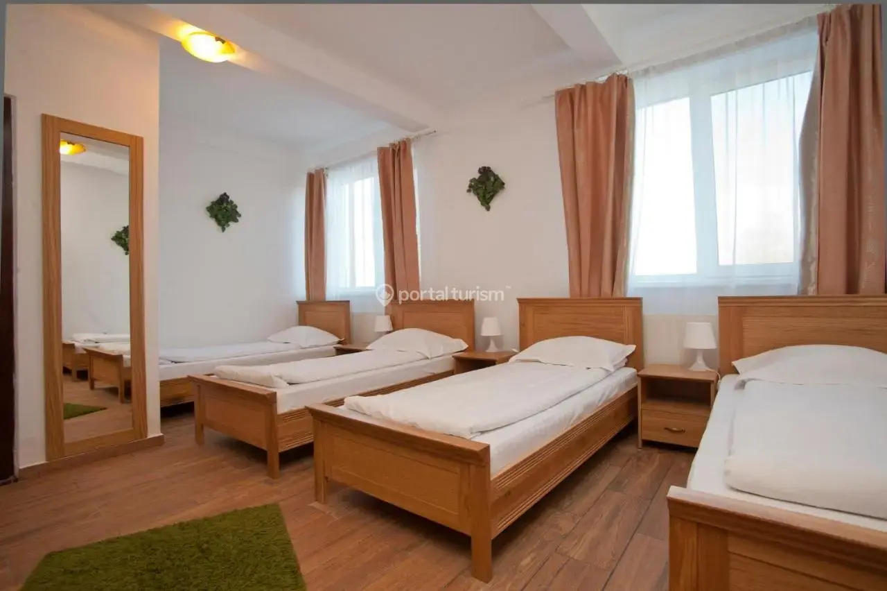 Pensiunea Club Montana