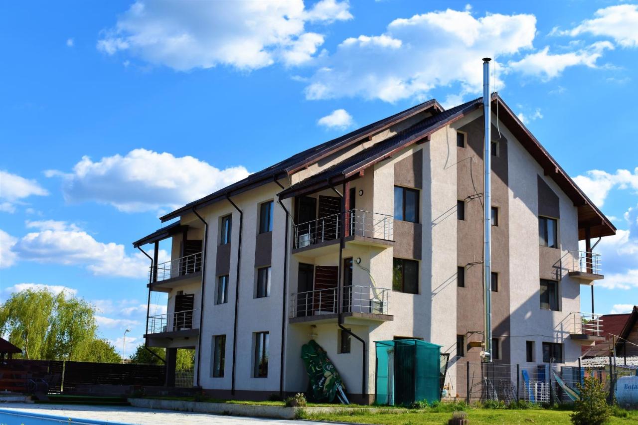 Hébergement Pensiunea Alexandra