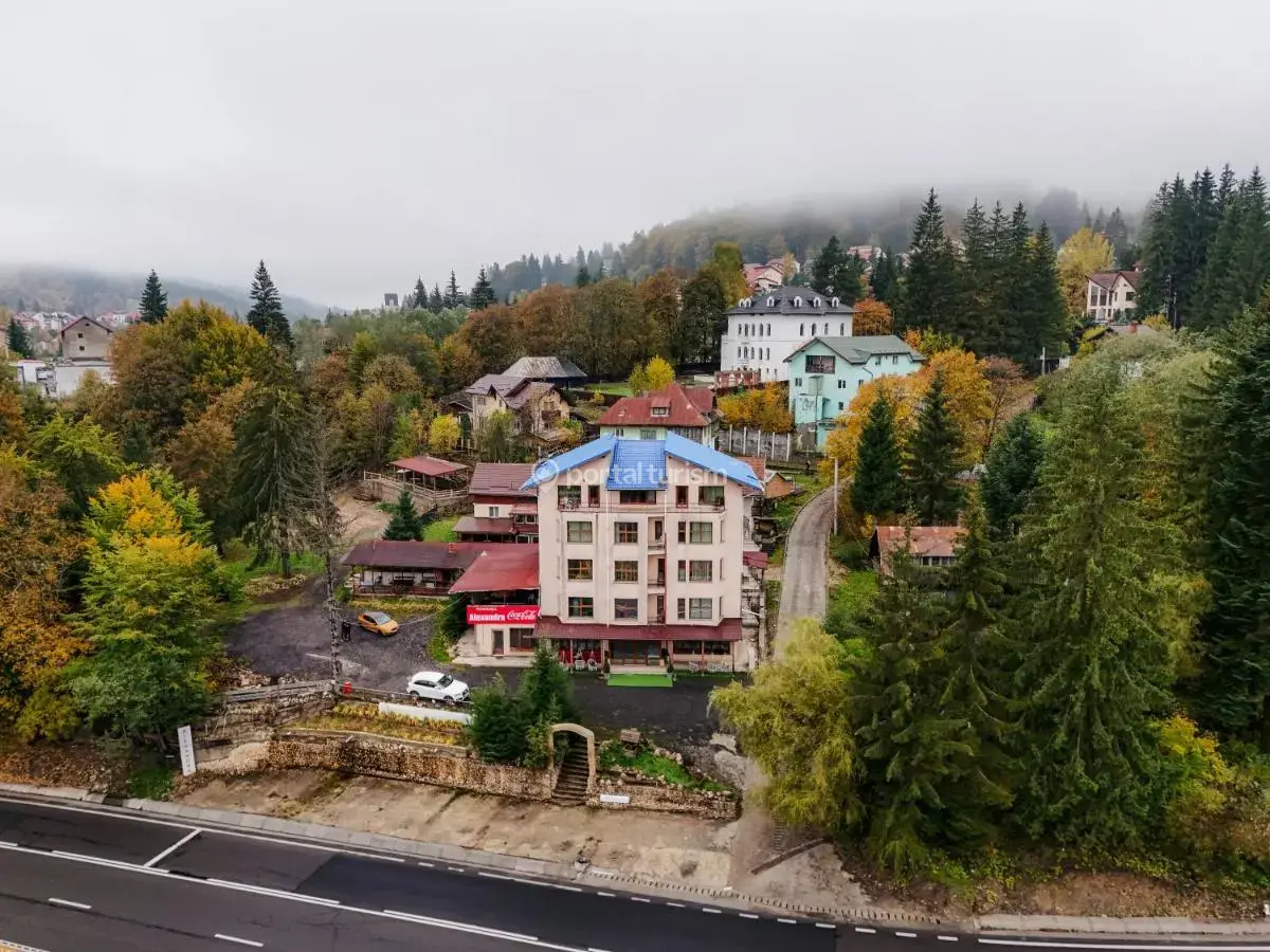 Pensiunea Alexandra